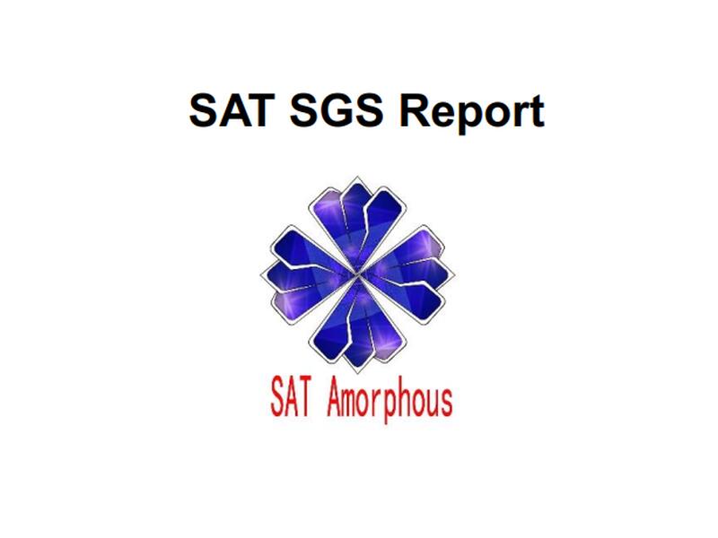 SA SGS-Bericht
